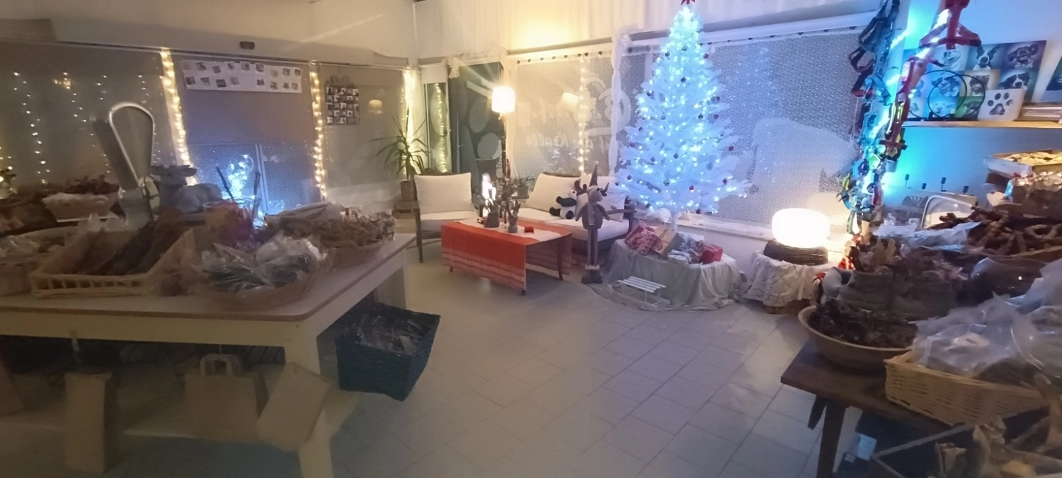 B.a.r.f. auf die Kralle — Hundefutter, Katzenfutter — Cottbus